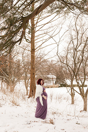 Henry - Blanchette Park Rau Garden - Winter Maternity - Brittany Lynn Imagery LLC - St Charles MO Photographer -22