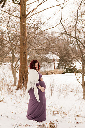 Henry - Blanchette Park Rau Garden - Winter Maternity - Brittany Lynn Imagery LLC - St Charles MO Photographer -23