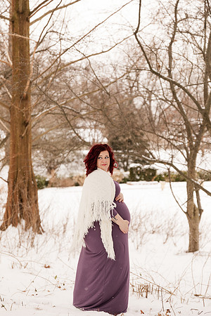 Henry - Blanchette Park Rau Garden - Winter Maternity - Brittany Lynn Imagery LLC - St Charles MO Photographer -24