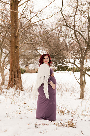 Henry - Blanchette Park Rau Garden - Winter Maternity - Brittany Lynn Imagery LLC - St Charles MO Photographer -25