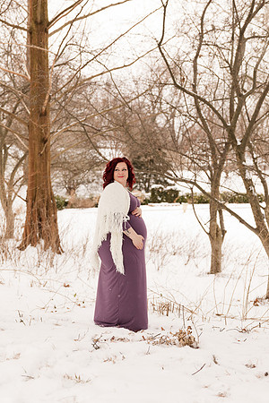 Henry - Blanchette Park Rau Garden - Winter Maternity - Brittany Lynn Imagery LLC - St Charles MO Photographer -26
