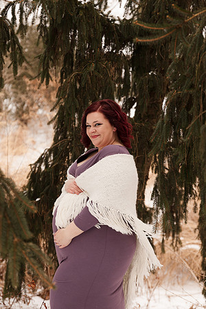 Henry - Blanchette Park Rau Garden - Winter Maternity - Brittany Lynn Imagery LLC - St Charles MO Photographer -45