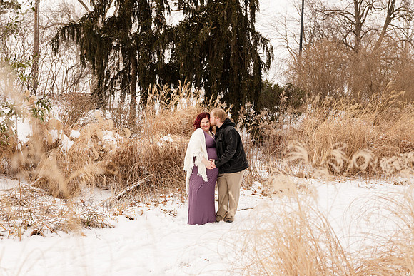 Henry - Blanchette Park Rau Garden - Winter Maternity - Brittany Lynn Imagery LLC - St Charles MO Photographer -60