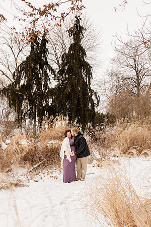 Henry - Blanchette Park Rau Garden - Winter Maternity - Brittany Lynn Imagery LLC - St Charles MO Photographer -61