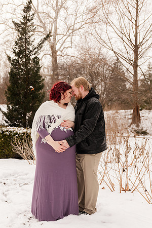 Henry - Blanchette Park Rau Garden - Winter Maternity - Brittany Lynn Imagery LLC - St Charles MO Photographer -75