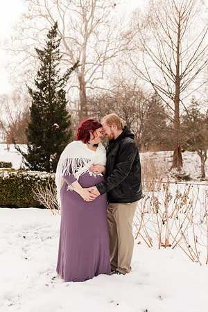 Henry - Blanchette Park Rau Garden - Winter Maternity - Brittany Lynn Imagery LLC - St Charles MO Photographer -76