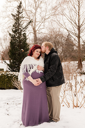 Henry - Blanchette Park Rau Garden - Winter Maternity - Brittany Lynn Imagery LLC - St Charles MO Photographer -78