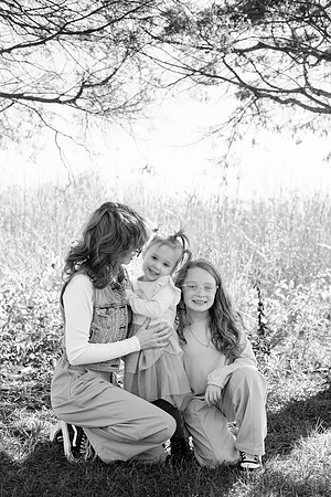 - Brittany Lynn Imagery LLC - Brittany Branson - STL St Louis St Charles MO Portrait Photographer-8