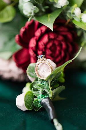 1 Highlights - Sam and George Wedding Collection - Oday Park Quail Ridge Park - Brittany Lynn Imagery LLC - St Charles MO Wedding Portrait Photographer -7