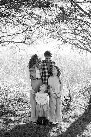 - Brittany Lynn Imagery LLC - Brittany Branson - STL St Louis St Charles MO Portrait Photographer-23