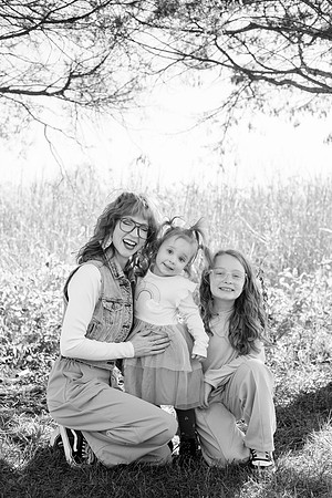 - Brittany Lynn Imagery LLC - Brittany Branson - STL St Louis St Charles MO Portrait Photographer-56
