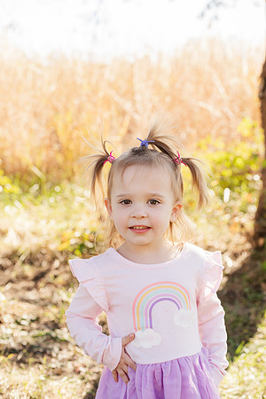 - Brittany Lynn Imagery LLC - Brittany Branson - STL St Louis St Charles MO Portrait Photographer-98