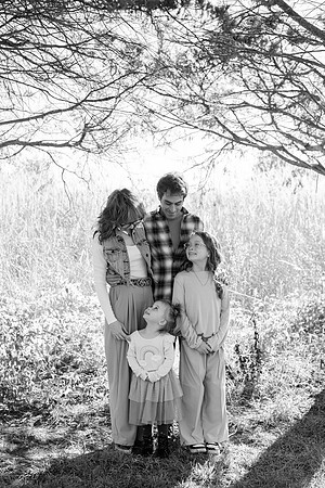 - Brittany Lynn Imagery LLC - Brittany Branson - STL St Louis St Charles MO Portrait Photographer-3