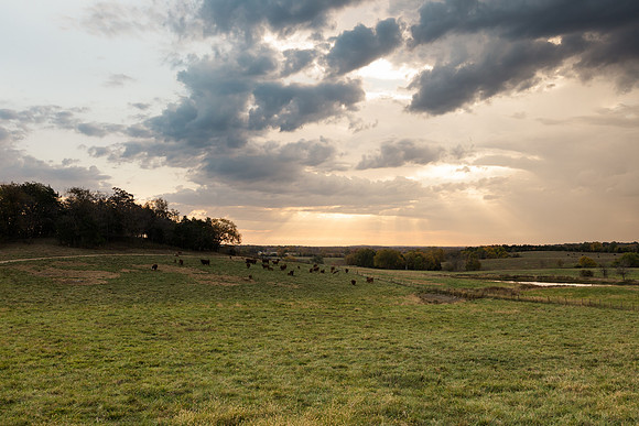 Branson MO - Springfield MO - Brittany Lynn Imagery LLC - STL St Louis MO Wedding Portrait Photographer -1
