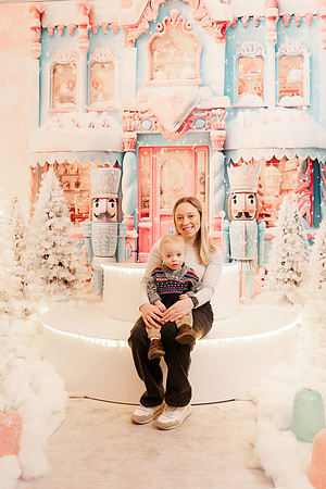 - Brittany Lynn Imagery LLC - Christie Lewis Homes - STL St Louis MO Portrait Photographer - Christmas 2024-105