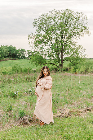 Broemmelsiek Park Maternity Session Defiance MO - St Charles County Park - Brittany Lynn Imagery - STL St Louis Wedding Portrait Photographer-16