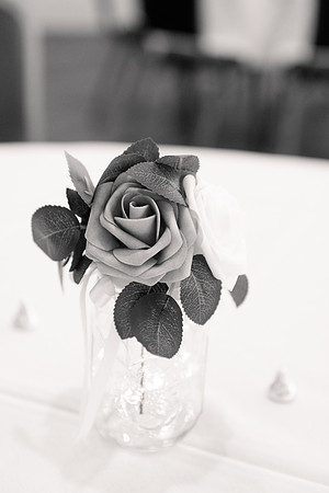 Ashley and Victor - Brittany Lynn Imagery LLC - STL St Louis MO Wedding Portrait Photographer BW-1