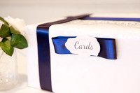Ashley and Victor - Brittany Lynn Imagery LLC - STL St Louis MO Wedding Portrait Photographer -2