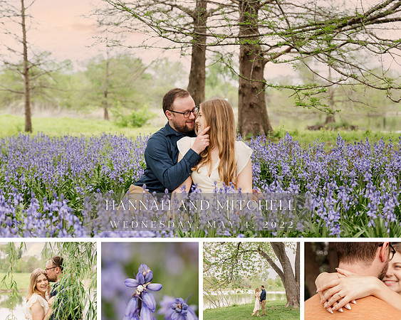 Brittany Lynn Imagery STL St Louis Wedding Portrait Photographer - Forest Park Engagement Session