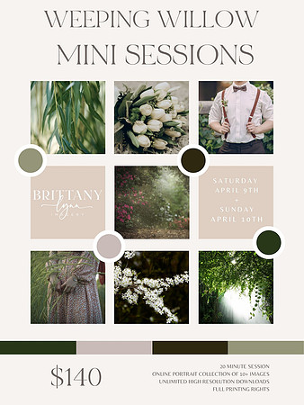 Weeping Willow Mini Sessions Spring 2022 - Brittany Lynn Imagery LLC - STL St Louis St Charles MO Family Portrait Photographer