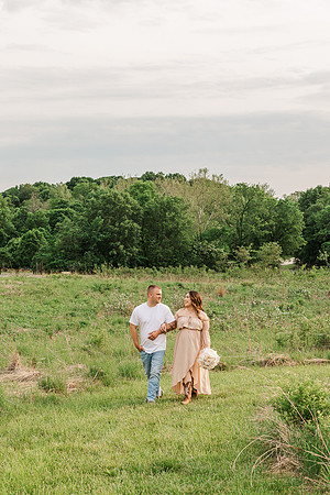 Broemmelsiek Park Maternity Session Defiance MO - St Charles County Park - Brittany Lynn Imagery - STL St Louis Wedding Portrait Photographer-2