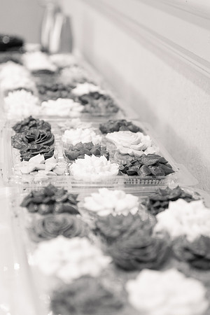 Ashley and Victor - Brittany Lynn Imagery LLC - STL St Louis MO Wedding Portrait Photographer BW-29