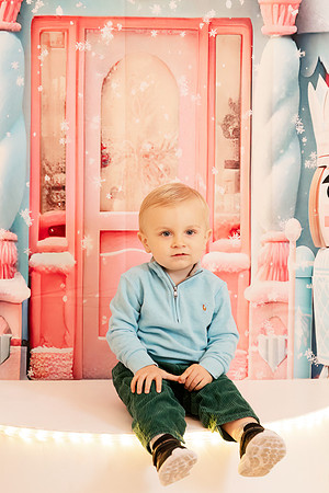 - Brittany Lynn Imagery LLC - Christie Lewis Homes - STL St Louis MO Portrait Photographer - Christmas 2024-116