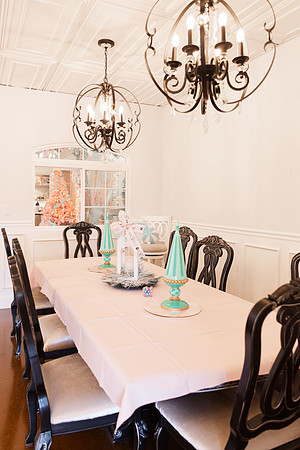 - Brittany Lynn Imagery LLC - Christie Lewis Homes 2024 - STL St Louis MO Portrait Photographer -1