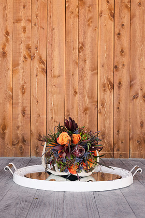 Web Files - Wicked Pony Ranch Winter Styled Shoot - Brittany Lynn Imagery LLC - St Charles MO Wedding Photographer -13