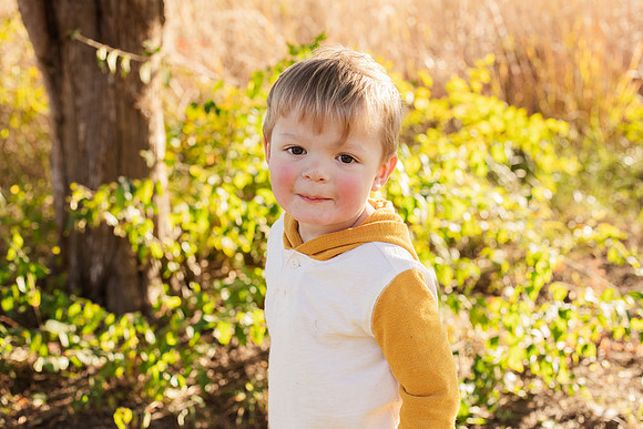 Whittenberg - Brittany Lynn Imagery LLC - Brittany Branson - STL St Louis St Charles MO Portrait Photographer-42