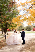 Ashley and Victor - Brittany Lynn Imagery LLC - STL St Louis MO Wedding Portrait Photographer -19