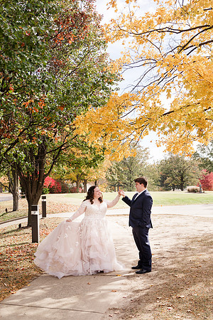 Ashley and Victor - Brittany Lynn Imagery LLC - STL St Louis MO Wedding Portrait Photographer -19