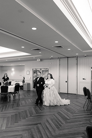 Ashley and Victor - Brittany Lynn Imagery LLC - STL St Louis MO Wedding Portrait Photographer BW-81