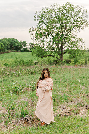 Broemmelsiek Park Maternity Session Defiance MO - St Charles County Park - Brittany Lynn Imagery - STL St Louis Wedding Portrait Photographer-15
