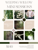 Weeping Willow Mini Sessions Spring 2022 - Brittany Lynn Imagery LLC - STL St Louis St Charles MO Family Portrait Photographer