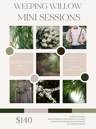 Weeping Willow Mini Sessions Spring 2022 - Brittany Lynn Imagery LLC - STL St Louis St Charles MO Family Portrait Photographer