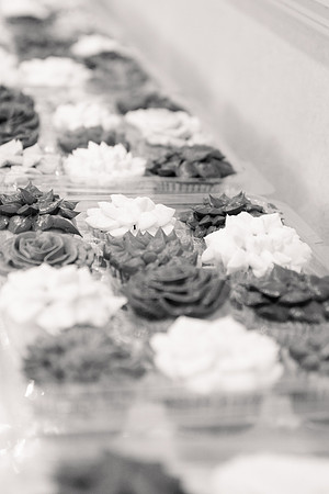 Ashley and Victor - Brittany Lynn Imagery LLC - STL St Louis MO Wedding Portrait Photographer BW-28