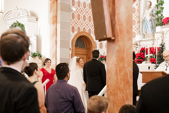 1 Highlights - Brittany Lynn Imagery LLC - STL St Louis MO Wedding Portrait Photographer -16
