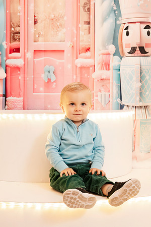 - Brittany Lynn Imagery LLC - Christie Lewis Homes - STL St Louis MO Portrait Photographer - Christmas 2024-114