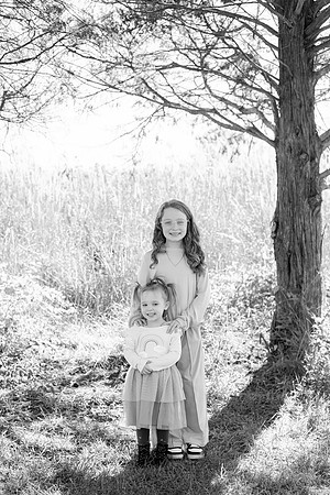 - Brittany Lynn Imagery LLC - Brittany Branson - STL St Louis St Charles MO Portrait Photographer-34