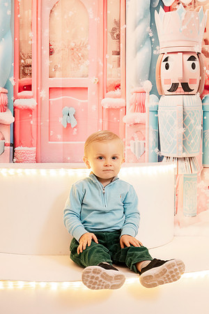 - Brittany Lynn Imagery LLC - Christie Lewis Homes - STL St Louis MO Portrait Photographer - Christmas 2024-115