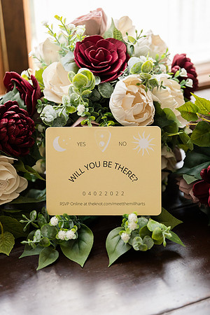 1 Highlights - Sam and George Wedding Collection - Oday Park Quail Ridge Park - Brittany Lynn Imagery LLC - St Charles MO Wedding Portrait Photographer -6