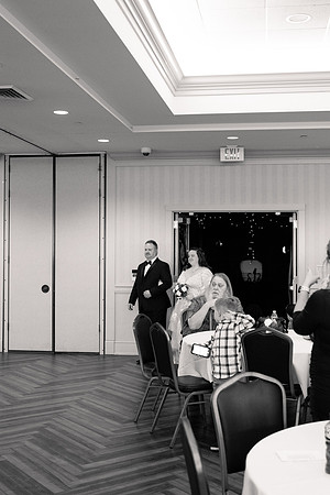 Ashley and Victor - Brittany Lynn Imagery LLC - STL St Louis MO Wedding Portrait Photographer BW-78