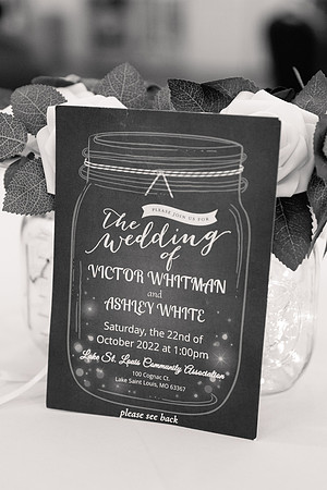 Ashley and Victor - Brittany Lynn Imagery LLC - STL St Louis MO Wedding Portrait Photographer BW-6