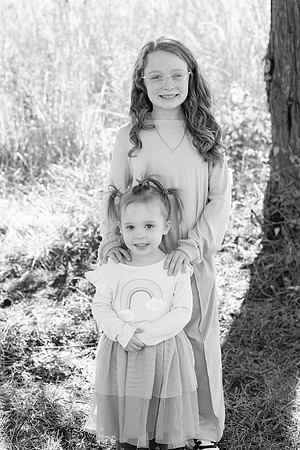 - Brittany Lynn Imagery LLC - Brittany Branson - STL St Louis St Charles MO Portrait Photographer-36
