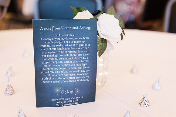Ashley and Victor - Brittany Lynn Imagery LLC - STL St Louis MO Wedding Portrait Photographer -5