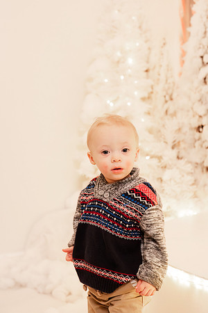 - Brittany Lynn Imagery LLC - Christie Lewis Homes - STL St Louis MO Portrait Photographer - Christmas 2024-108