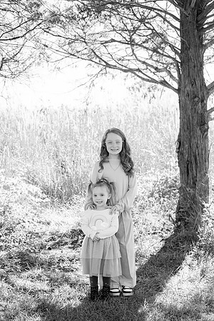 - Brittany Lynn Imagery LLC - Brittany Branson - STL St Louis St Charles MO Portrait Photographer-33