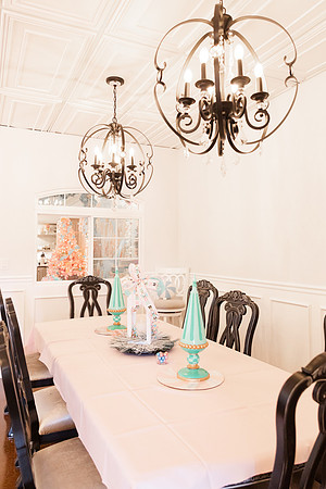 - Brittany Lynn Imagery LLC - Christie Lewis Homes 2024 - STL St Louis MO Portrait Photographer -3