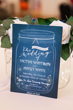Ashley and Victor - Brittany Lynn Imagery LLC - STL St Louis MO Wedding Portrait Photographer -6